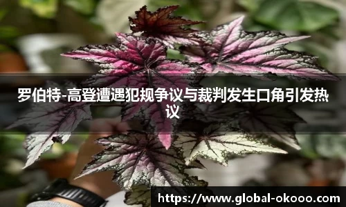 罗伯特-高登遭遇犯规争议与裁判发生口角引发热议